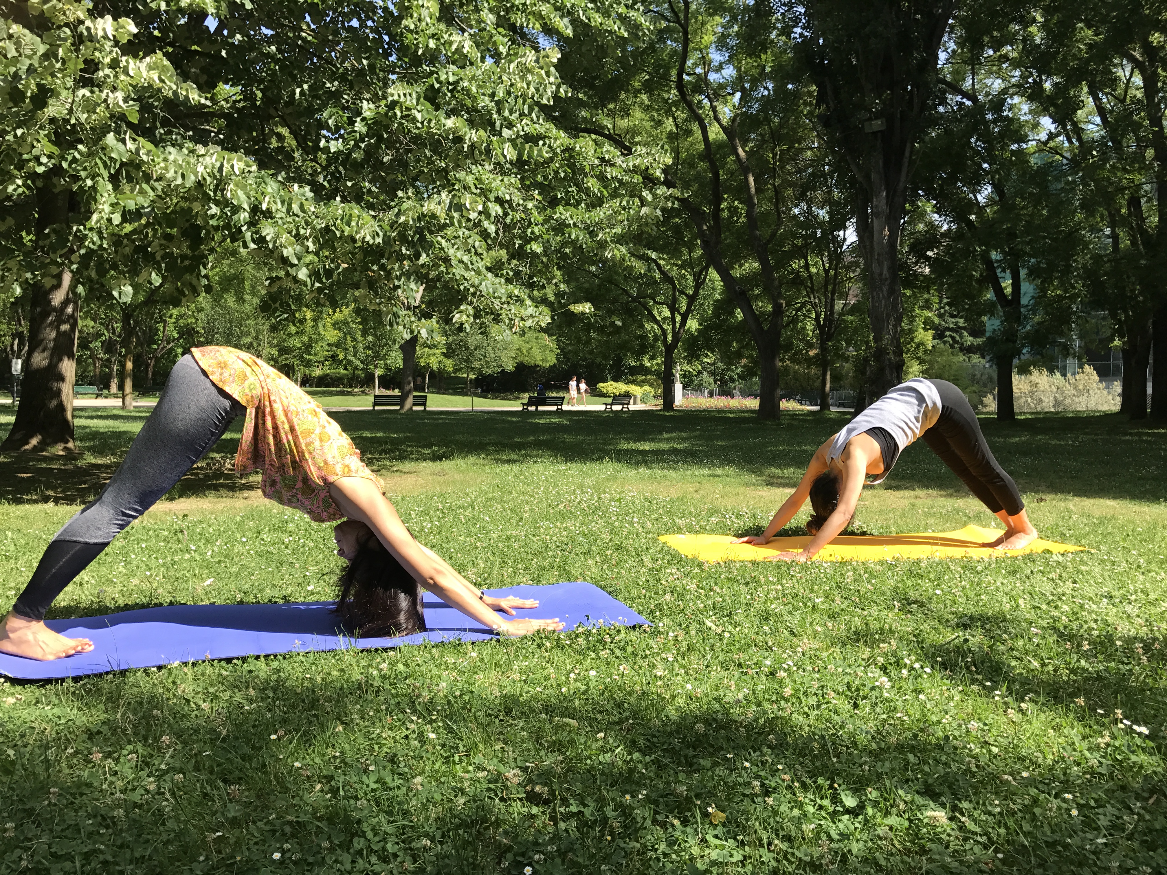 coffee and-coffee-beans